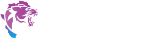 Sponsor - https://findmoreafrica.com/